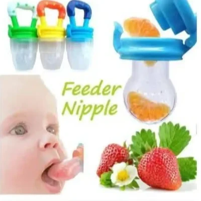Baby Fresh Fruit Feeder
